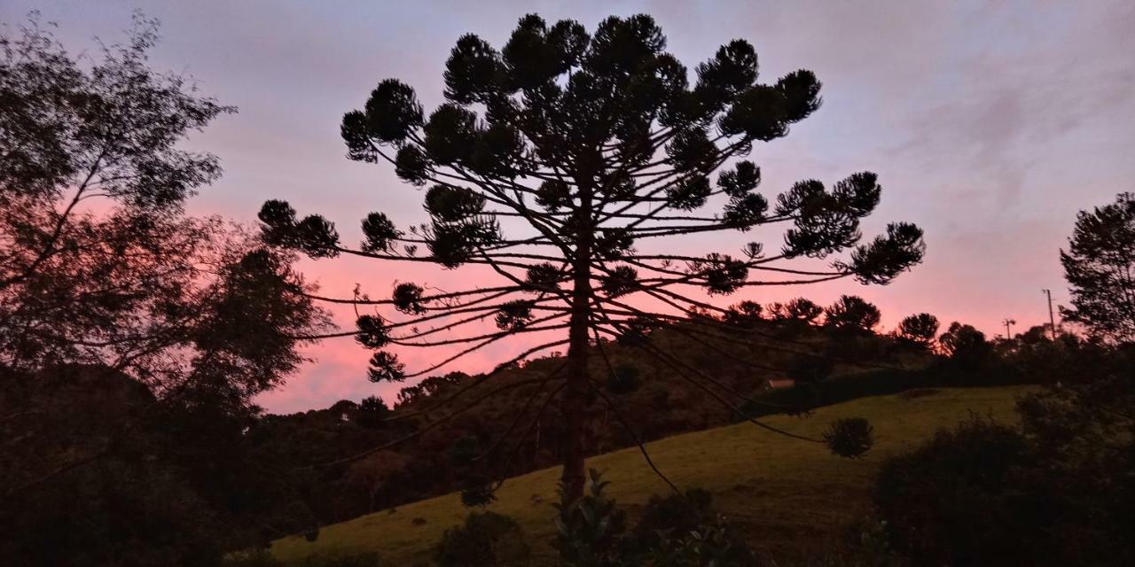 Pousada Recanto Da Vitoria Gonçalves Dış mekan fotoğraf